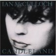 CANDLELAND ( 1989 )